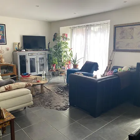 D Hotes Chez Dany Maowmaow Et Garfield *