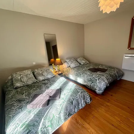 D Hotes Chez Dany Maowmaow Et Garfield *